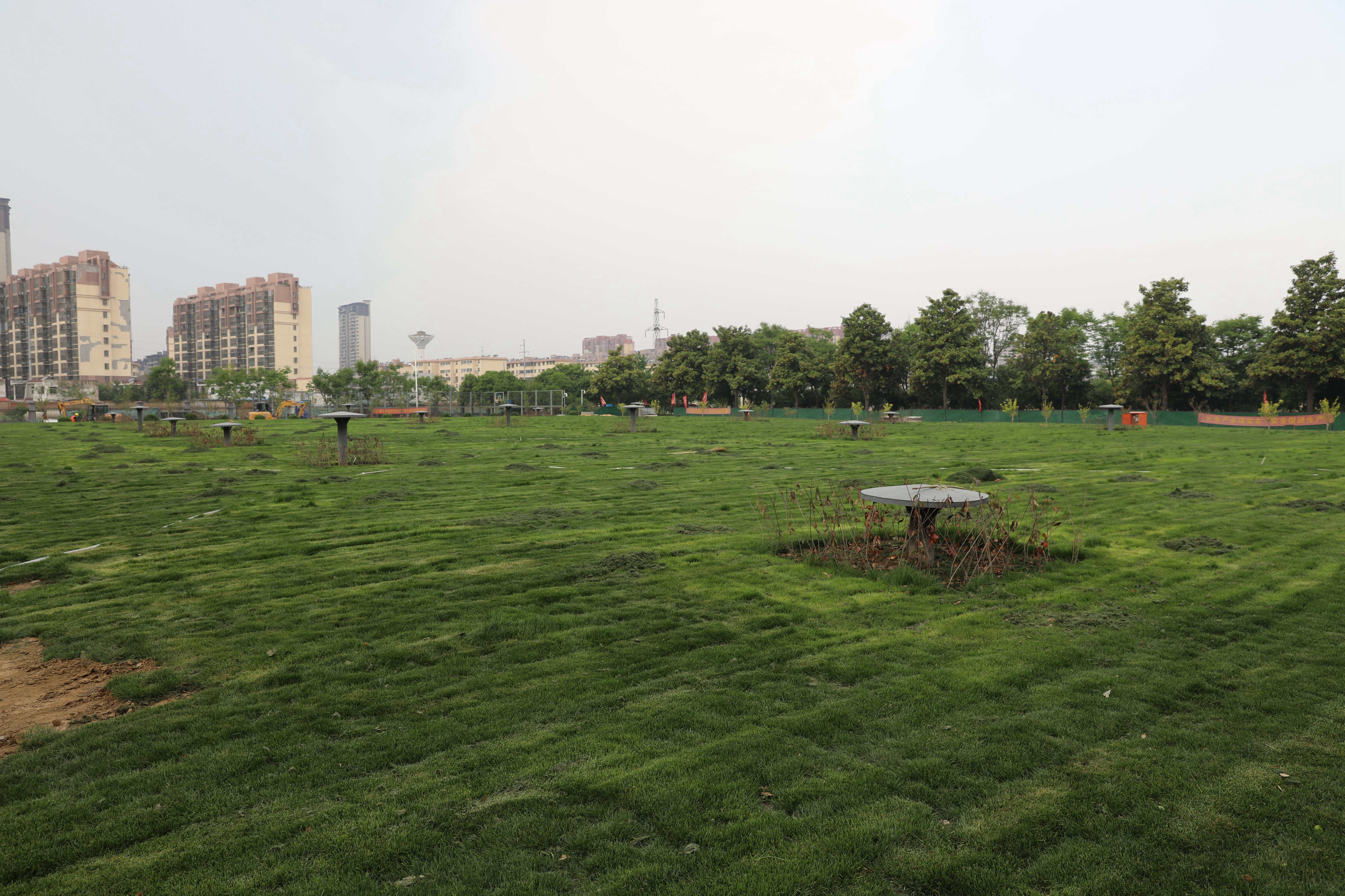 1681892401a941983.jpg 1681892401a941983.jpg